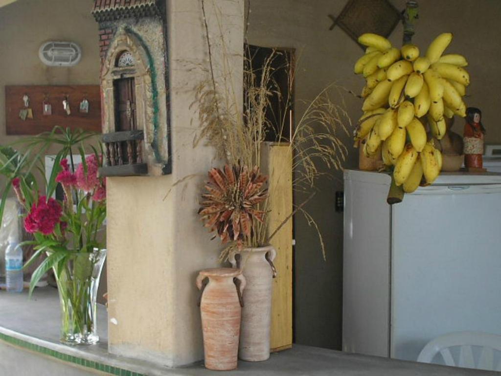 Pousada Dos Cajueiros Paripueira Ngoại thất bức ảnh